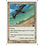 Magic: The Gathering Mesa Falcon (031) Moderately Played