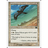 Magic: The Gathering Mesa Falcon (031) Moderately Played