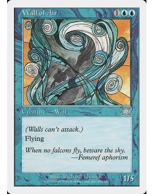 Magic: The Gathering Wall of Air (105) Moderately Played