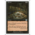 Magic: The Gathering Perish (148) Heavily Played