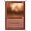 Magic: The Gathering Flashfires (180) Moderately Played