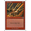 Magic: The Gathering Stone Rain (209) Heavily Played