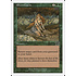 Magic: The Gathering Elven Cache (224) Heavily Played