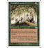 Magic: The Gathering Familiar Ground (228) Moderately Played