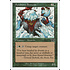 Magic: The Gathering Fyndhorn Brownie (231) Moderately Played