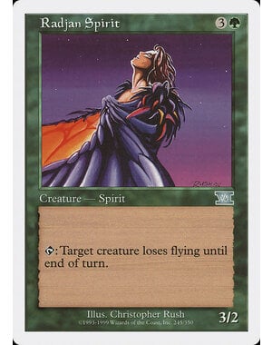 Magic: The Gathering Radjan Spirit (245) Moderately Played