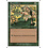 Magic: The Gathering Regeneration (248) Moderately Played