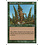 Magic: The Gathering Redwood Treefolk (247) Heavily Played