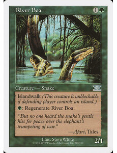 Magic: The Gathering River Boa (249) Damaged
