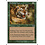 Magic: The Gathering Stalking Tiger (253) Moderately Played