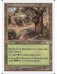 Magic: The Gathering Havenwood Battleground (325) Moderately Played
