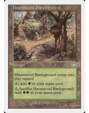 Magic: The Gathering Havenwood Battleground (325) Moderately Played