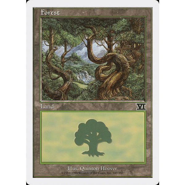 Magic: The Gathering Forest (347) Moderately Played