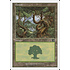 Magic: The Gathering Forest (347) Moderately Played