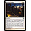 Magic: The Gathering Survival Cache (023) Lightly Played