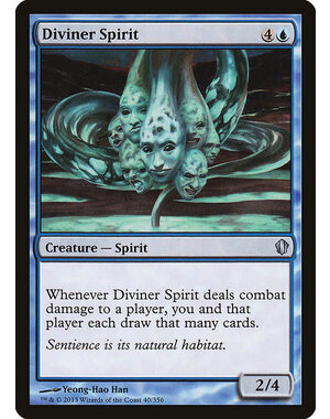 Magic: The Gathering Diviner Spirit (040) Lightly Played