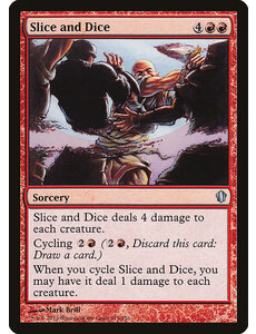 Magic: The Gathering Slice and Dice (119) Lightly Played
