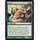 Magic: The Gathering Foster (146) Lightly Played