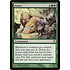 Magic: The Gathering Foster (146) Lightly Played