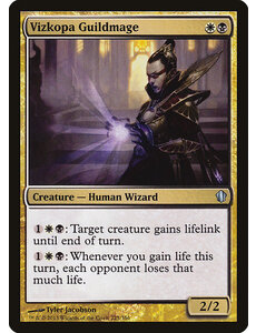 Magic: The Gathering Vizkopa Guildmage (225) Lightly Played