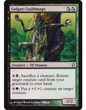 Magic: The Gathering Golgari Guildmage (229) Lightly Played