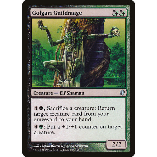 Magic: The Gathering Golgari Guildmage (229) Lightly Played