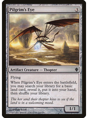 Magic: The Gathering Pilgrim's Eye (253) Lightly Played