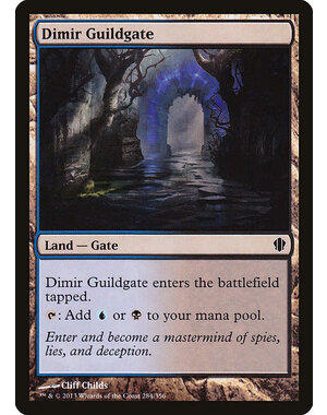 Magic: The Gathering Dimir Guildgate (284) Lightly Played