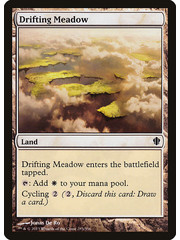 Magic: The Gathering Drifting Meadow (285) Lightly Played