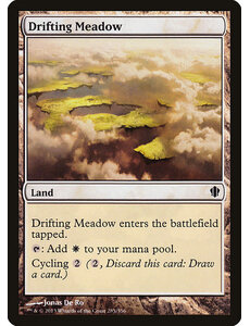 Magic: The Gathering Drifting Meadow (285) Lightly Played