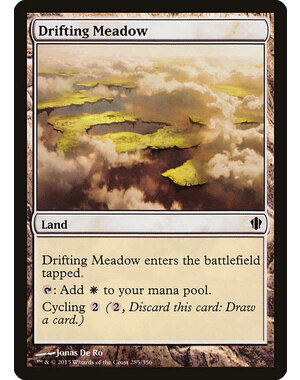 Magic: The Gathering Drifting Meadow (285) Moderately Played