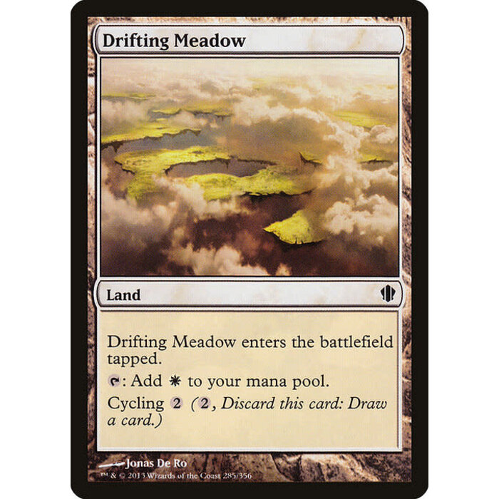 Magic: The Gathering Drifting Meadow (285) Moderately Played