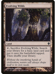 Magic: The Gathering Evolving Wilds (287) Moderately Played
