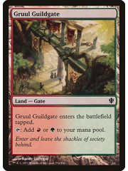Magic: The Gathering Gruul Guildgate (294) Moderately Played
