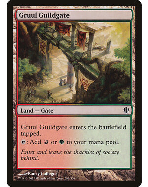 Magic: The Gathering Gruul Guildgate (294) Moderately Played