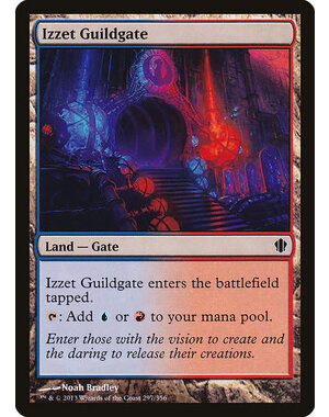 Magic: The Gathering Izzet Guildgate (297) Lightly Played