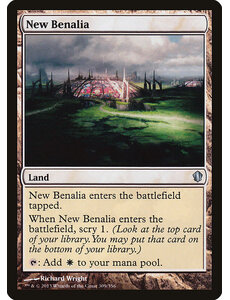 Magic: The Gathering New Benalia (309) Lightly Played