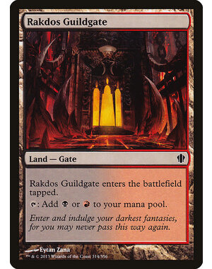 Magic: The Gathering Rakdos Guildgate (314) Lightly Played