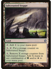 Magic: The Gathering Saltcrusted Steppe (316) Lightly Played