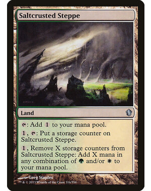 Magic: The Gathering Saltcrusted Steppe (316) Moderately Played