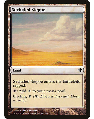 Magic: The Gathering Secluded Steppe (319) Lightly Played