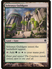 Magic: The Gathering Selesnya Guildgate (321) Lightly Played