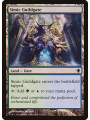 Magic: The Gathering Simic Guildgate (323) Lightly Played