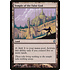 Magic: The Gathering Temple of the False God (327) Moderately Played