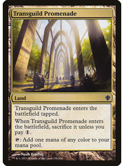 Magic: The Gathering Transguild Promenade (330) Moderately Played