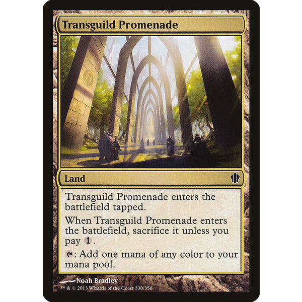 Magic: The Gathering Transguild Promenade (330) Moderately Played