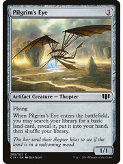 Magic: The Gathering Pilgrim's Eye (262) Lightly Played