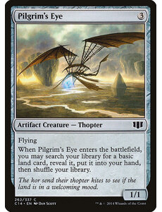 Magic: The Gathering Pilgrim's Eye (262) Lightly Played