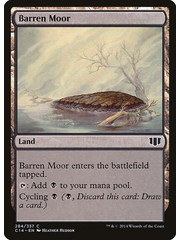 Magic: The Gathering Barren Moor (284) Lightly Played