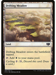 Magic: The Gathering Drifting Meadow (292) Lightly Played